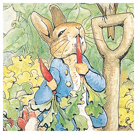 Peter Rabbit Peter Rabbit
