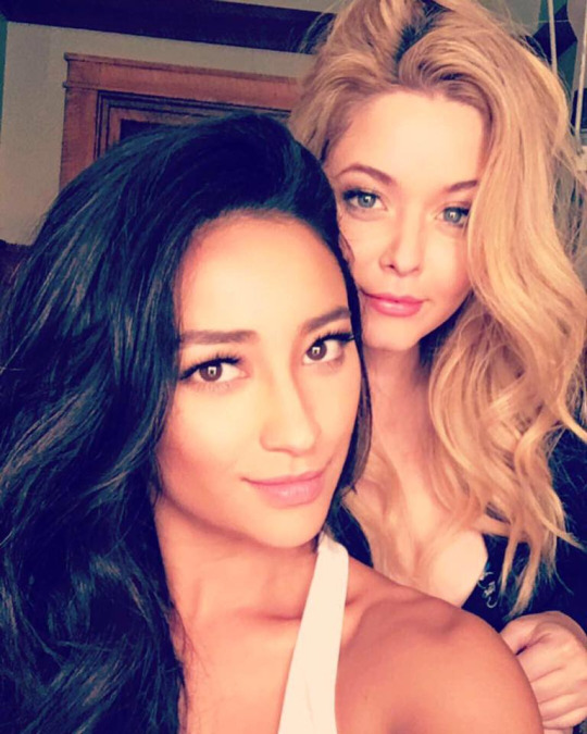 Shay Mitchell