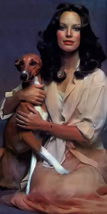 Jaclyn Smith Jaclyn Smith
