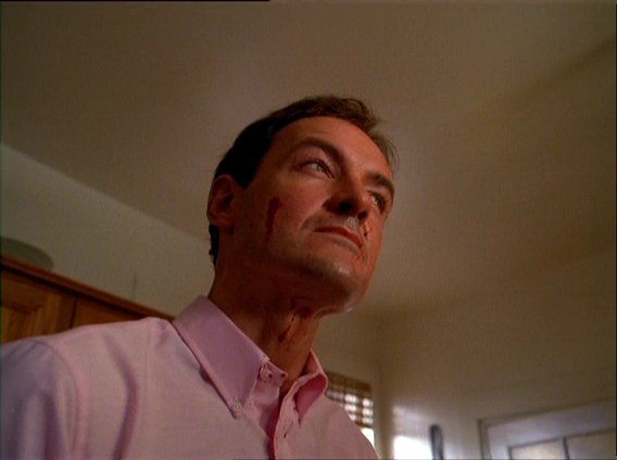 The Stepfather The Stepfather