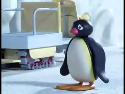 Pingu Pingu