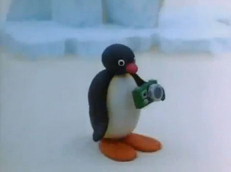 Pingu