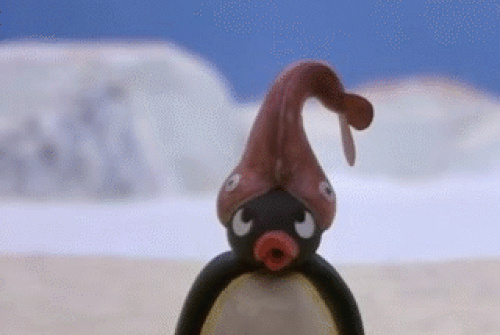 Pingu