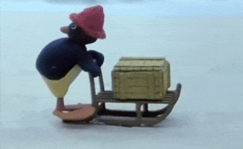 Pingu Pingu