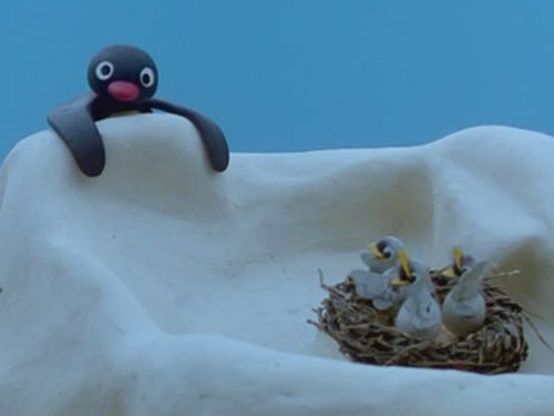 Pingu Pingu