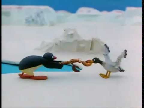 Pingu Pingu