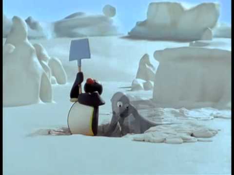 Pingu Pingu