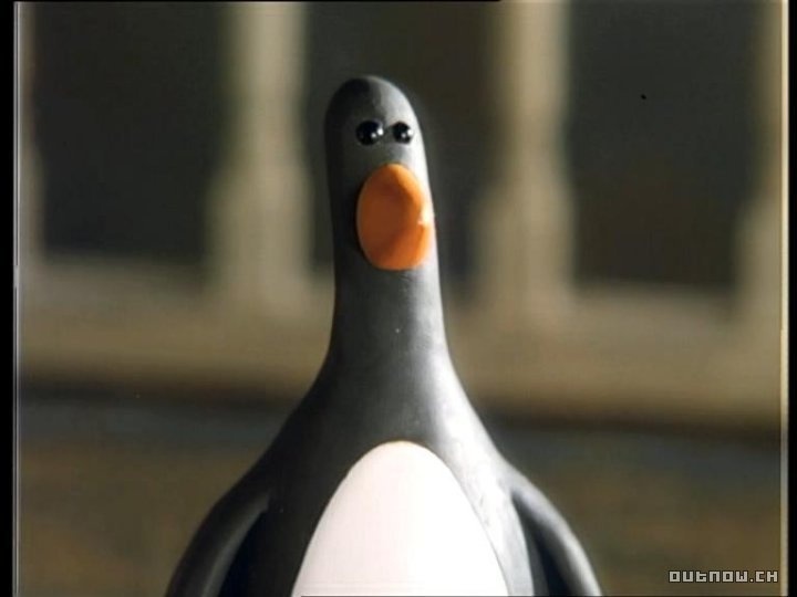 Feathers McGraw Feathers McGraw