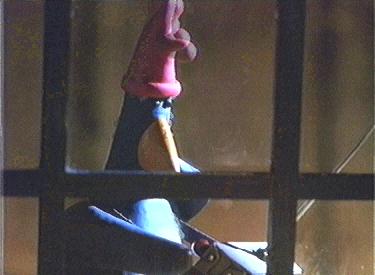 Feathers McGraw Feathers McGraw
