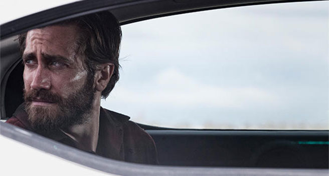 Nocturnal Animals