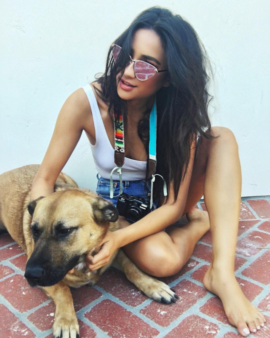 Shay Mitchell Shay Mitchell