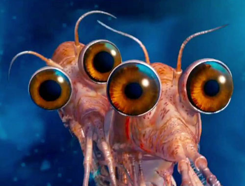Will the Krill Will the Krill