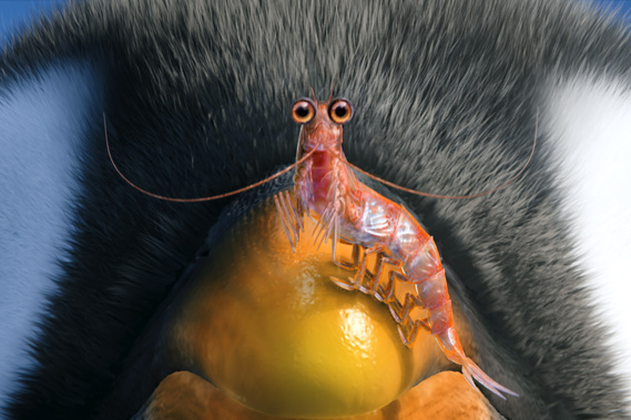 Will the Krill Will the Krill