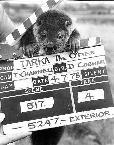 Tarka Tarka