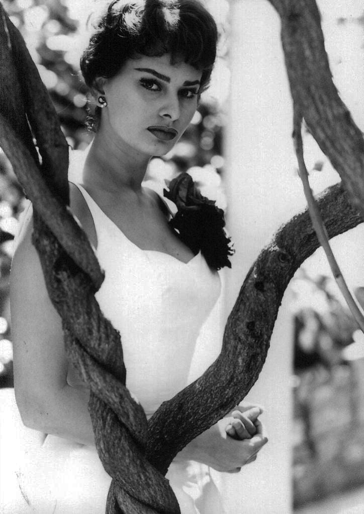 Sophia Loren