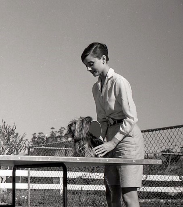 Audrey Hepburn