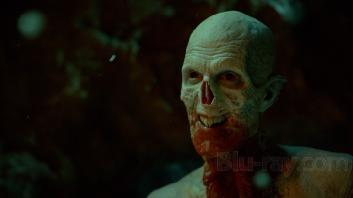 The Strain