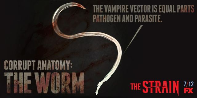The Strain