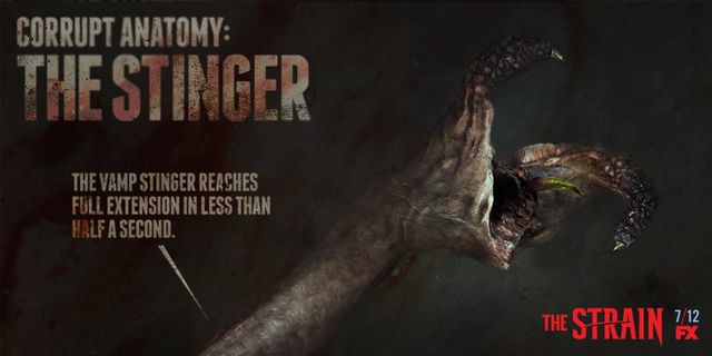 The Strain