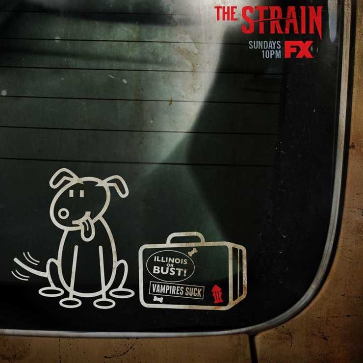 The Strain