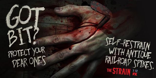 The Strain