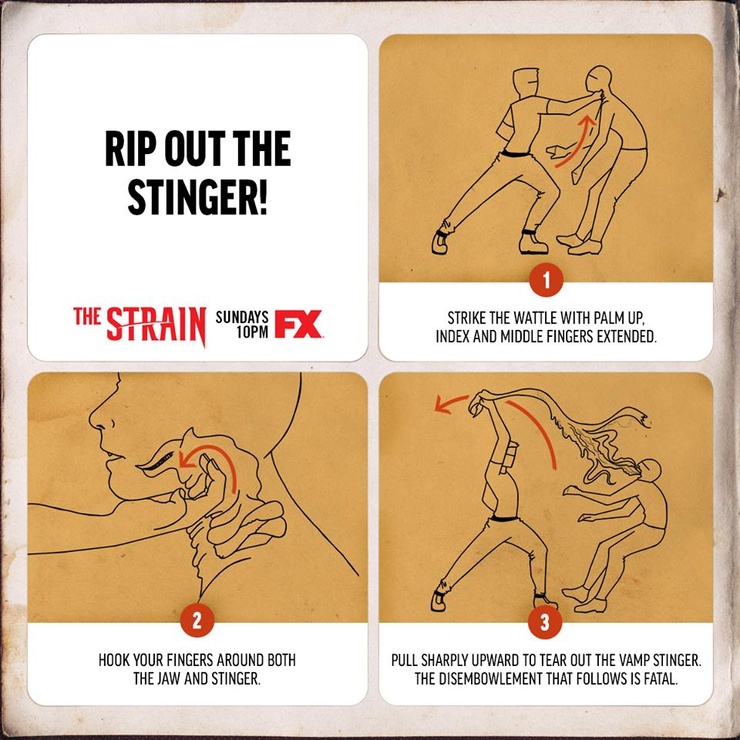 The Strain