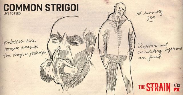 The Strain