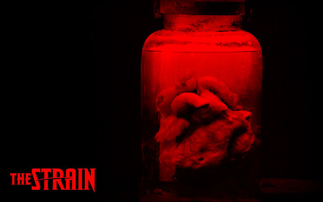 The Strain