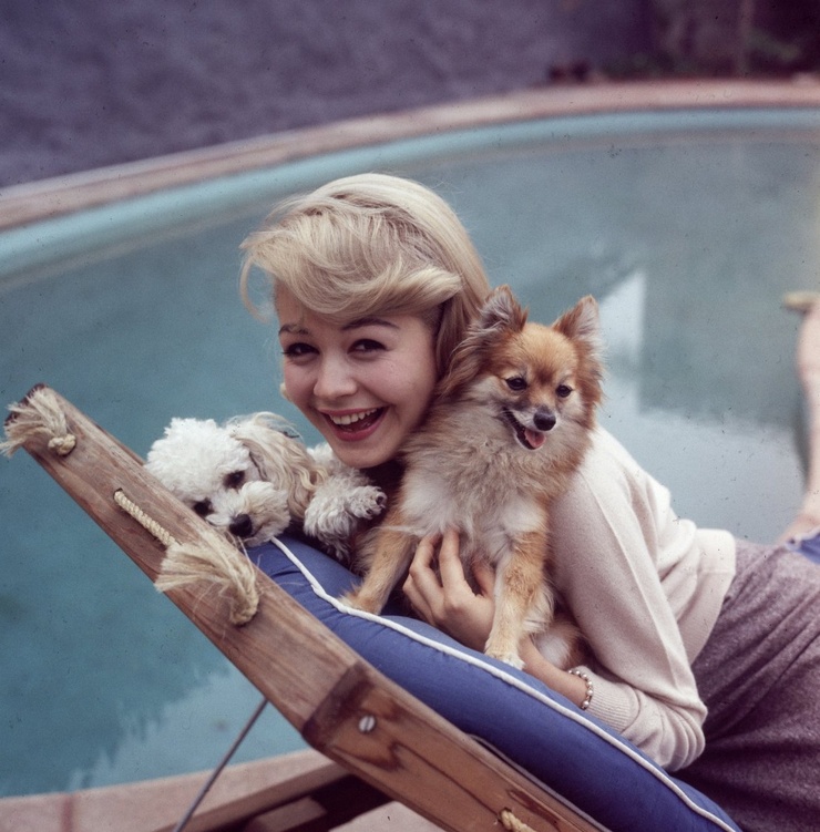 Sandra Dee Sandra Dee