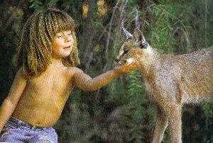 Tippi Degre Tippi Degre
