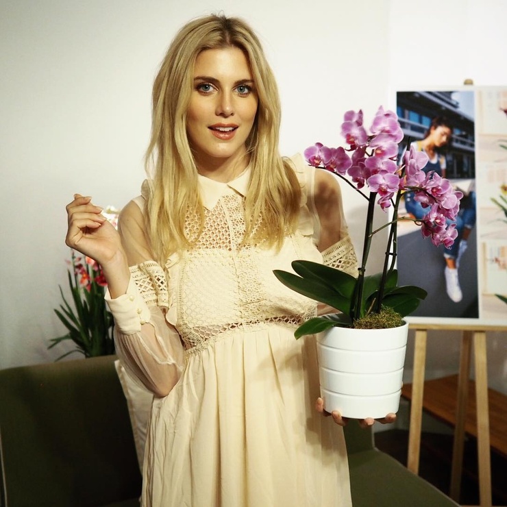 Ashley James