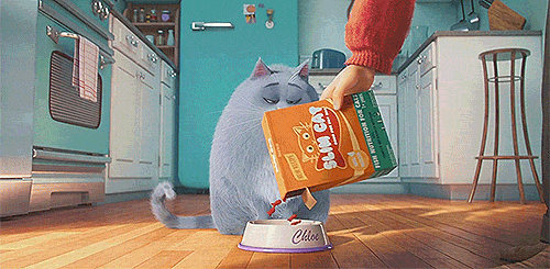 The Secret Life of Pets The Secret Life of Pets