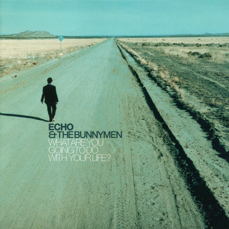 Echo and the Bunnymen