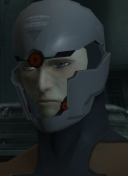 Gray Fox