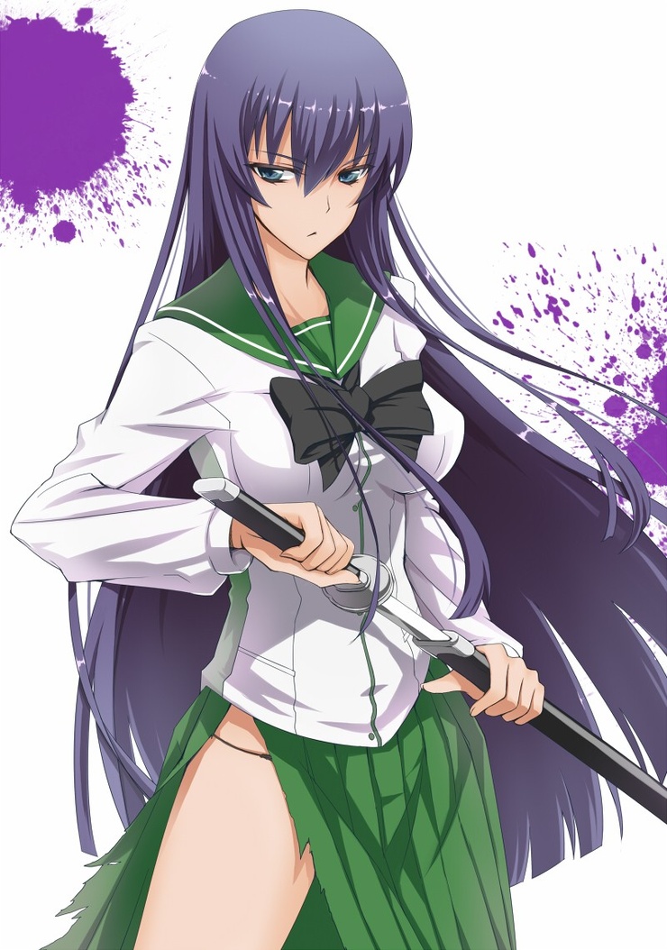 Saeko Busujima Saeko Busujima