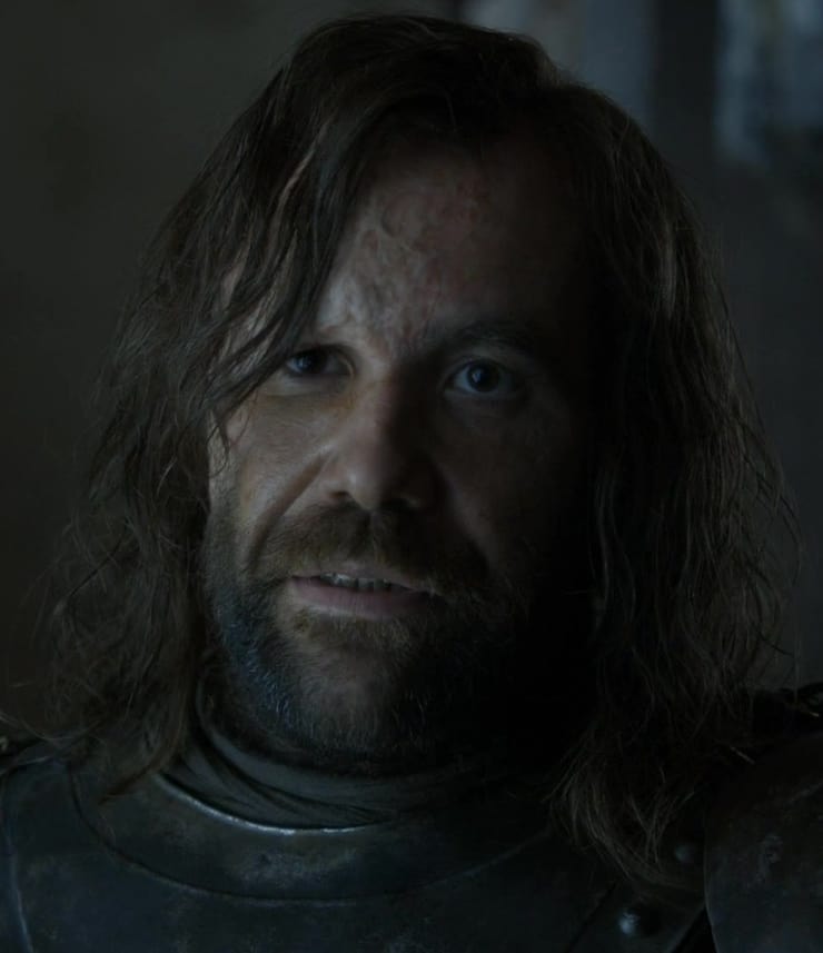 Sandor Clegane (The Hound)