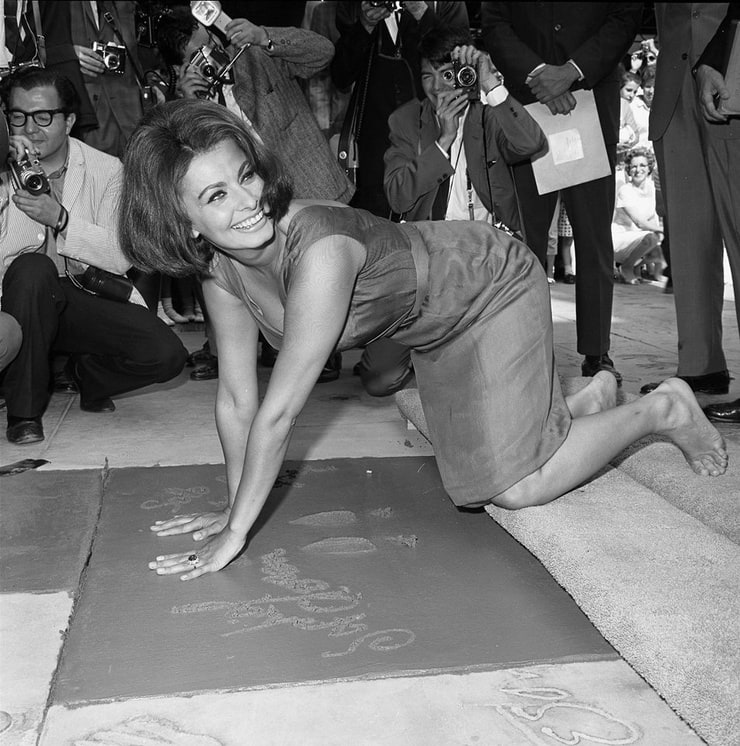 Sophia Loren