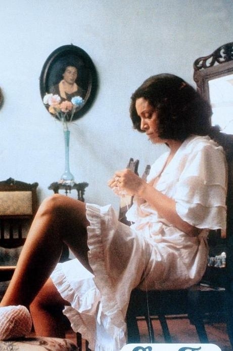 Dona Flor e Seus Dois Maridos (1976) Dona Flor e Seus Dois Maridos (1976)