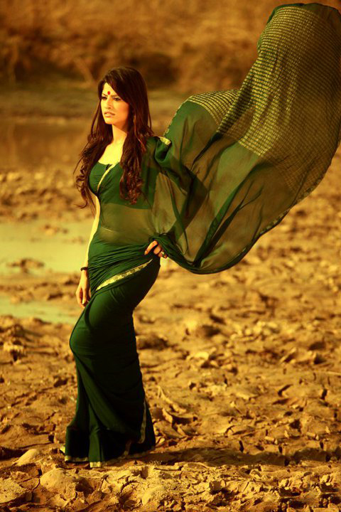 Saanvi Dhiman Saanvi Dhiman