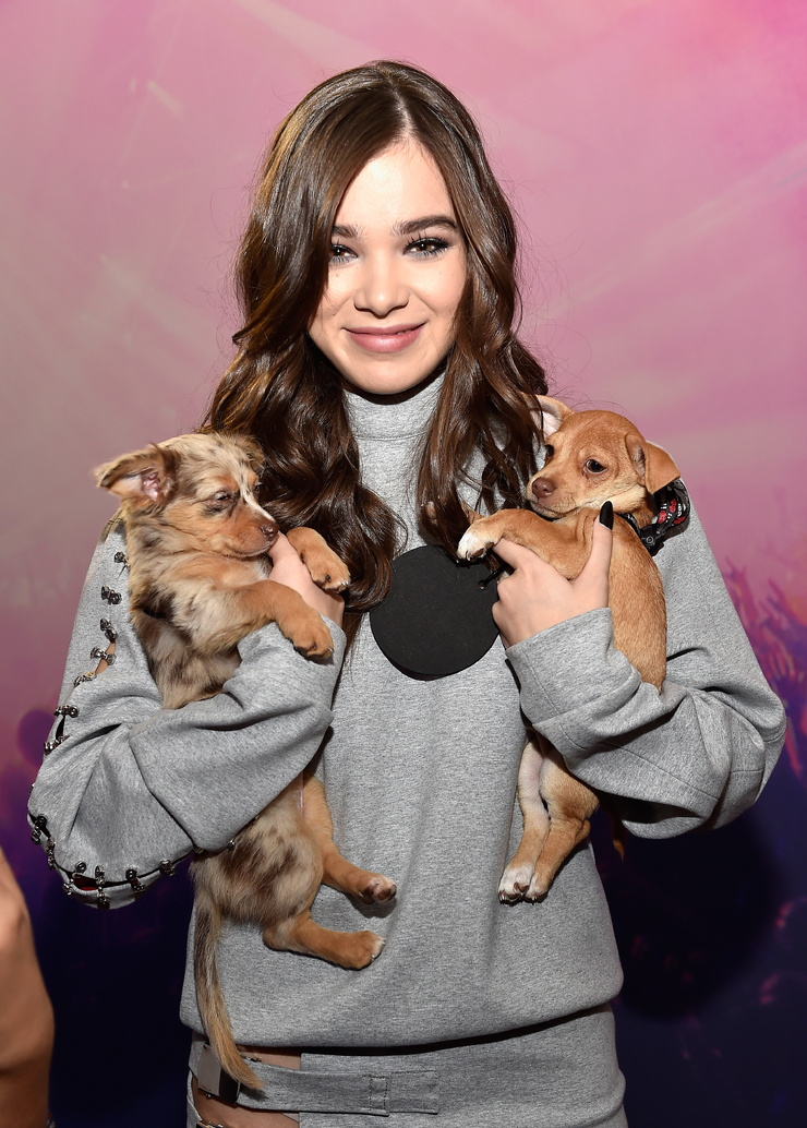 Hailee Steinfeld