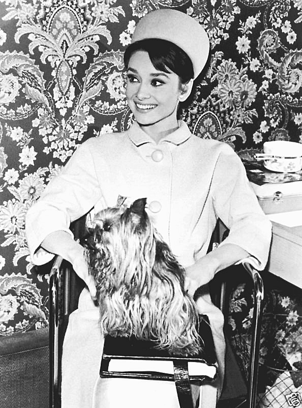 Audrey Hepburn Audrey Hepburn