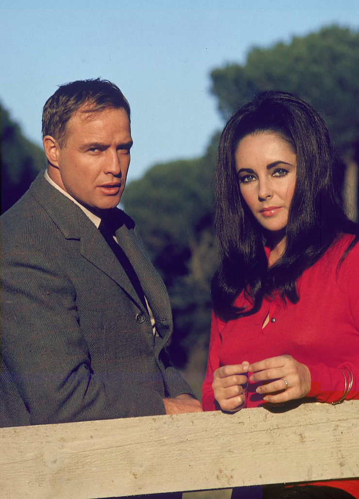 Elizabeth Taylor Elizabeth Taylor