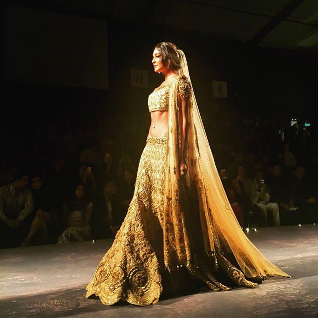 Lisa Haydon