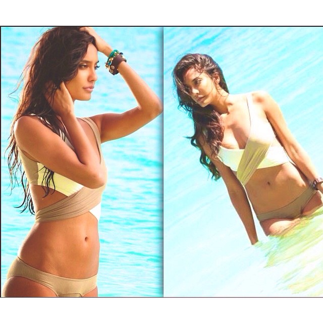 Lisa Haydon