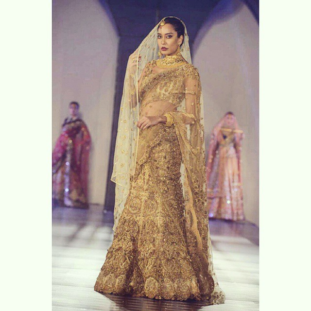 Lisa Haydon