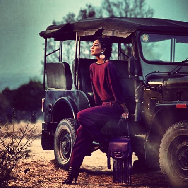 Lisa Haydon