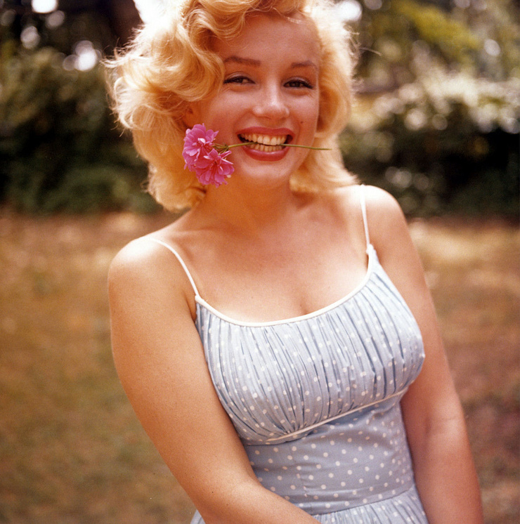 Marilyn Monroe Marilyn Monroe