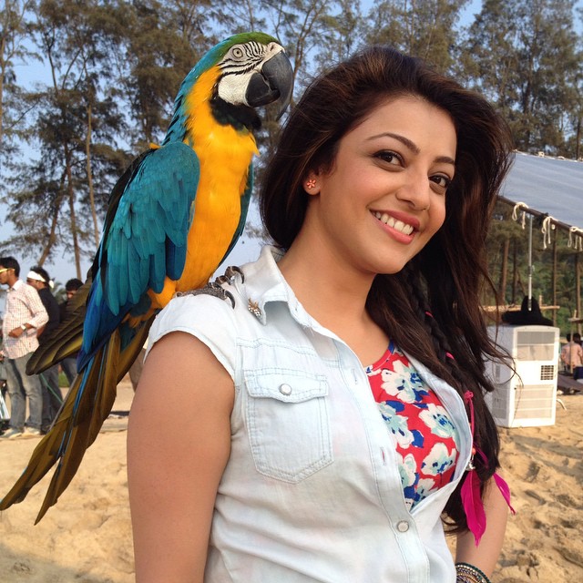 Kajal Agarwal