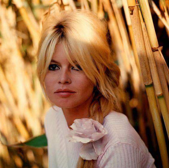Brigitte Bardot