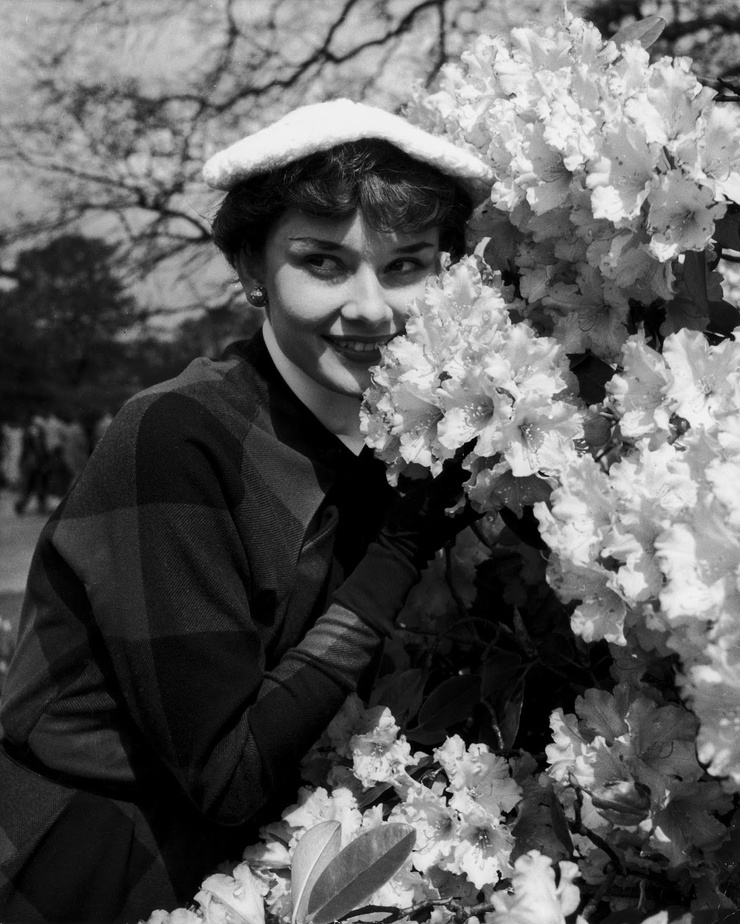 Audrey Hepburn